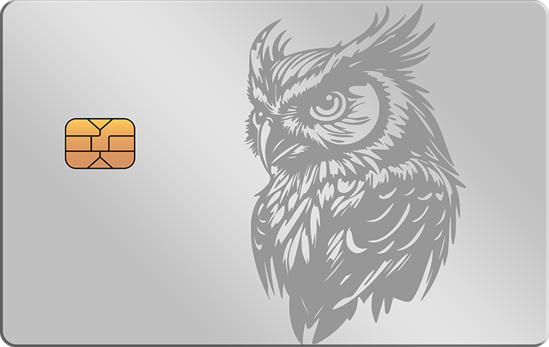 Owl 3